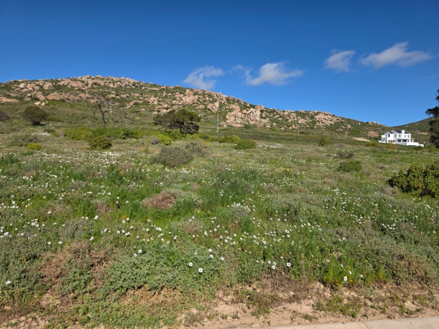 Commercial Property for Sale in St Helena Views Western Cape